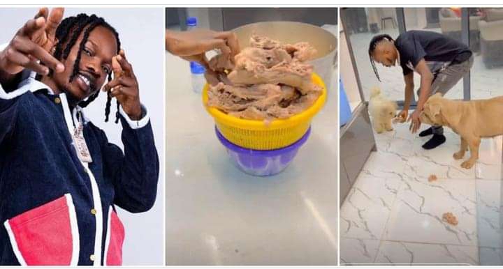 Fans Reaction As Naira Marley Feeds His Dogs With Chicken (Watch Video) 2 Naira Marley