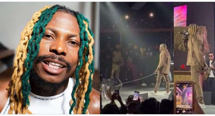 “This means he is the GOAT” – Reactions as Asake performs with a live goat 2 Asake
